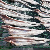 국내산 반건조 말린 장어 아나고 (바다장어 붕장어) 500g 중+대 소, 국산 장어포 소 500g