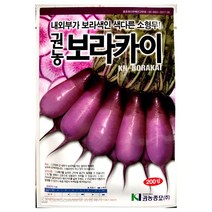 보라카이씨앗 200알 알타리무 과일무 보라무 씨앗
