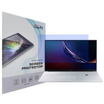 레이텍 정보보호 보안기 노트북 필름 W9, 15.6in, 1개