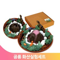 화산 폭발 놀이 공룡 장난감 실험도구 키트 세트 교구 과학 유치원 학습용
