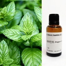 [향기에반하다] 페퍼민트 E.O 천연 아로마 에센셜 오일 30ml 50ml 100ml 학생 직장인 집중력 친환경 디퓨저 방향제 캔들 향료 화장품 비누만들기, 페퍼민트 천연 아로마 에센셜 오일 100ml