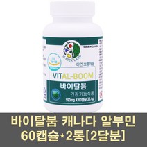 남자아연 알부민 징크 아연 난백 호손베리 로얄제리 인삼 분말 임신준비 글루콘산아연 영양제 캐나다 식약처 간건강 신장 수술후 면역력 가족, 2통, 60캡슐