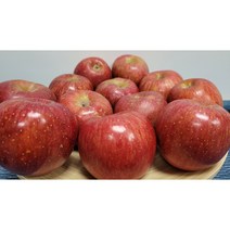 산지직송 부사 사과 껍질째 먹는 영주사과 선물용 5kg 10kg, 5kg선물용정품특대(11-13과)