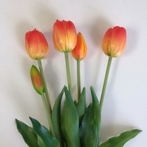 영이오브제 망고튤립 조화 5송이 묶음 8colors, 오렌지