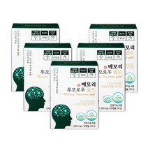 포스파티딜세린 식약청인증 기억력 인지력 개선 PS 혈행 은행잎추출물 징코 최대함량 메모리 투모로우 골드, 5개, 30정