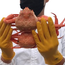 당일조업 산지직송 프리미엄 최상급 자숙 홍게 3kg 수율보장 동해 포항 구룡포 연지홍게 박달홍게, 1-3. 비품 연지홍게 12마리 내외, 1개