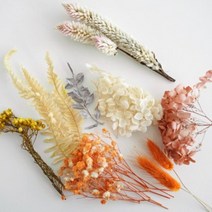 말린꽃 청첩장꽃 화이트 프리저브드 플라워박스 3color, 어텀오렌지