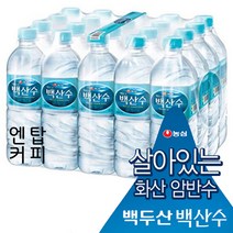백두산 백산수 500mlX20페트 무/료/배/송, 500ml, 20개