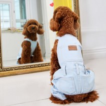 [펫션피플]애견 모찌멜빵바지(스카이), XL사이즈