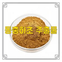 소율국제 동충하초 고농축 추출물 분말, 10:1, 500g, 1개