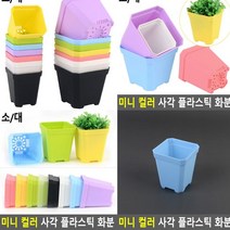 플라스틱화분 소 블루 빈티지토분 작은화분 베란다텃밭 홈가드닝 실내정원 텃밭상자 야외화분 옥상텃밭 빈화분 분재화분 블루베리화분 상자텃밭 귀여운화분 플라스틱화분 나무화분 텃밭화분 후리지아화분 테라스화분 인테리어화분 이쁜화분 대형화분 분갈이화분 예쁜화분 실내텃밭 프리지아화분