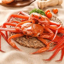 동해안 수율좋은 북방 홍게 20-25마리(고급형/수율70%), 단품