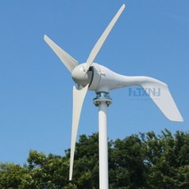 발전기 fltxny 800w 12v 24v 48v 가정용 소형 풍력 터빈 6 블레이드 풍력 터빈 발전기 저풍속 가정용, PWM 컨트롤러로, 400w 3 블레이드
