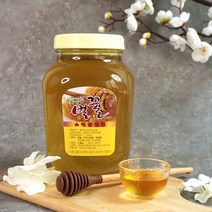더조은 소백산 사양벌꿀 아카시아꿀 2.4kg, [더조은] 소백산 사양벌꿀 아카시아꿀 2.4kg