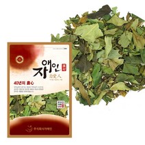 자애인 국산 황칠나무잎 1200g 황칠잎 건조 황칠차 전남완도, 단품