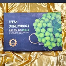 산지직송 프리미엄 고당도 샤인머스켓 가정용 선물용, 선물형 2kg (3수)