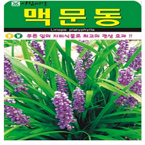 아람종묘 맥문동 100립, 1개