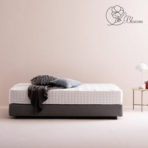 헤이몰리 블룸 롤팩 일반형 호텔식 매트리스 Q