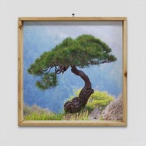 [바보사랑] 우드프레임액자_산정상의소나무, 상세 설명 참조