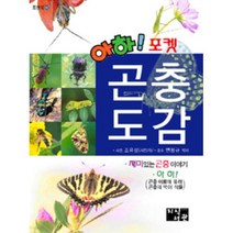 아하! 포켓 곤충 도감(포켓북42), 지식서관
