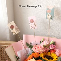 골드 화분 장식 메세지픽 꽂이 메모 클립 10개1세트, 별안에달10개