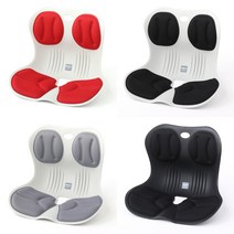 웰이즈 스마트체어 바른자세 교정을 위한 허리지킴이, 레드