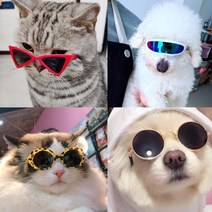 강아지 고양이 안경 선글라스, 1. 캣츠아이, 올블랙