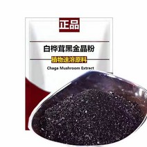 자연산 정품 차가버섯 흑금 흑수정 고농축 분말 가루, 1봉, 90g