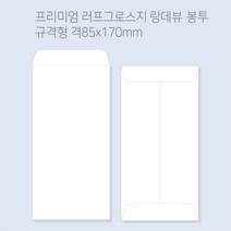 랑데뷰 고급봉투 티켓봉투 상품권봉투 용돈봉투 봉투도매 고급봉투주문제작 100매(규격형/쟈켓형), 규격형(80x175mm)