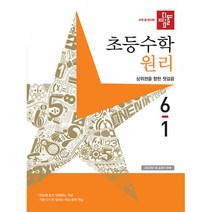 디딤돌 초등 수학 원리 (2023년), 초등 6-1