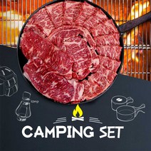 1++등급 투뿔 한우 캠핑세트 등심 채끝 살치살 구이용 투쁠소고기 900g, 안심(스테이크) 300g+등심 300g