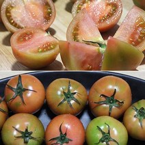 대저농협인증 부산 대저 짭짤이 토마토, 2S(6번과 40과 내외)