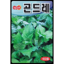 곤드레씨앗 100립 고려엉겅퀴 진흥종묘