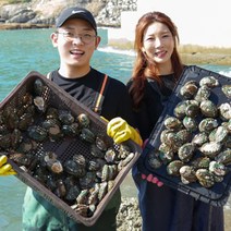 완도 활 전복 산지직송 가정용 선물세트 7미~60미 1kg, 13~15미, 포장안함