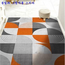 SKANDSALO 현관코일매트 미끄럼 헬스장 베란다 놀이터업소용 롤 카페트 카펫 패턴 층간소음 신발털이, 불빛과 그림자를 스치다. + 120*160