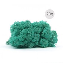 비오스 스칸디아모스 천연이끼 습도조절 공기정화 식물-20g, 20g-6번 퍼시픽그린