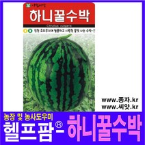 헬프팜 하니꿀수박 20립 수박씨 아람종묘 씨앗 종자