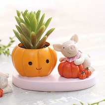 ROOGO 루고 화분 별 구경하는 동물들 돼지