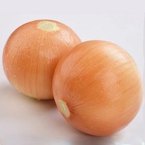 맛있는양파 5kg 강원도햇양파 국내산양파, 하