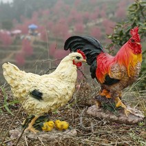 전원주택 야외 정원 동물 수탉 암탉 풍수지리 조형물 인형 장식 포토존 화단, 닭세트