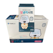 곰탱이 어린이 열냉각시트 6매입 x 10통(1BOX)