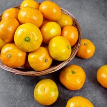 [식품의즐거움]제주도 하우스 감귤, 제주도 하우스 감귤 5kg 소과(S-2S)