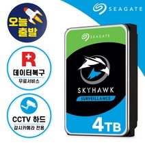 [ 씨게이트 공식스토어 ] 스카이호크 CCTV 하드디스크 감시카메라 CCTV용 HDD, 4TB (4테라바이트)