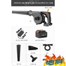 부로아 부로와 세차 브로와 낙엽, (속도조절)리튬배터리(6.0Ah)배터리1개