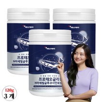 프로테오글리칸 프로테오그리칸 연어코연골 분말 가루 저분자 피쉬콜라겐 글루코사민 추출분말, 3박스, 120g