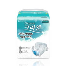 크리센 성인용기저귀 와이드 매직벨트 대형 10매X4입041113, 단품