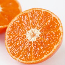 한정수량 제주 빨간귤 신품종 홍매향 2kg내외 (24-30과/소과/실중량), 1개