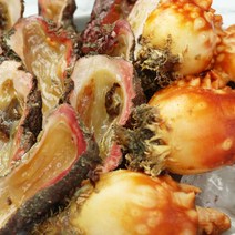통영 활멍게 멍게 1kg 산지직송 당일발송 돌멍게 깐멍게, 돌멍게 2kg, 1개