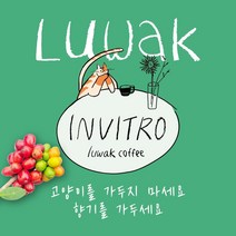 발효 커피 비건 인도네시아 루왁 커피 사향 고양이 보호 저카페인 부드러운 커피 드립백 홀빈 분쇄 가루 굵게 얇게 주문, 1kg