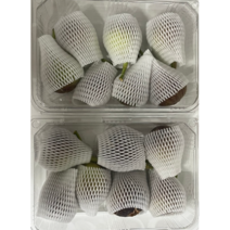 무화과 당일수확 무농약 생무화과 청무화과, 2팩, 1.2kg